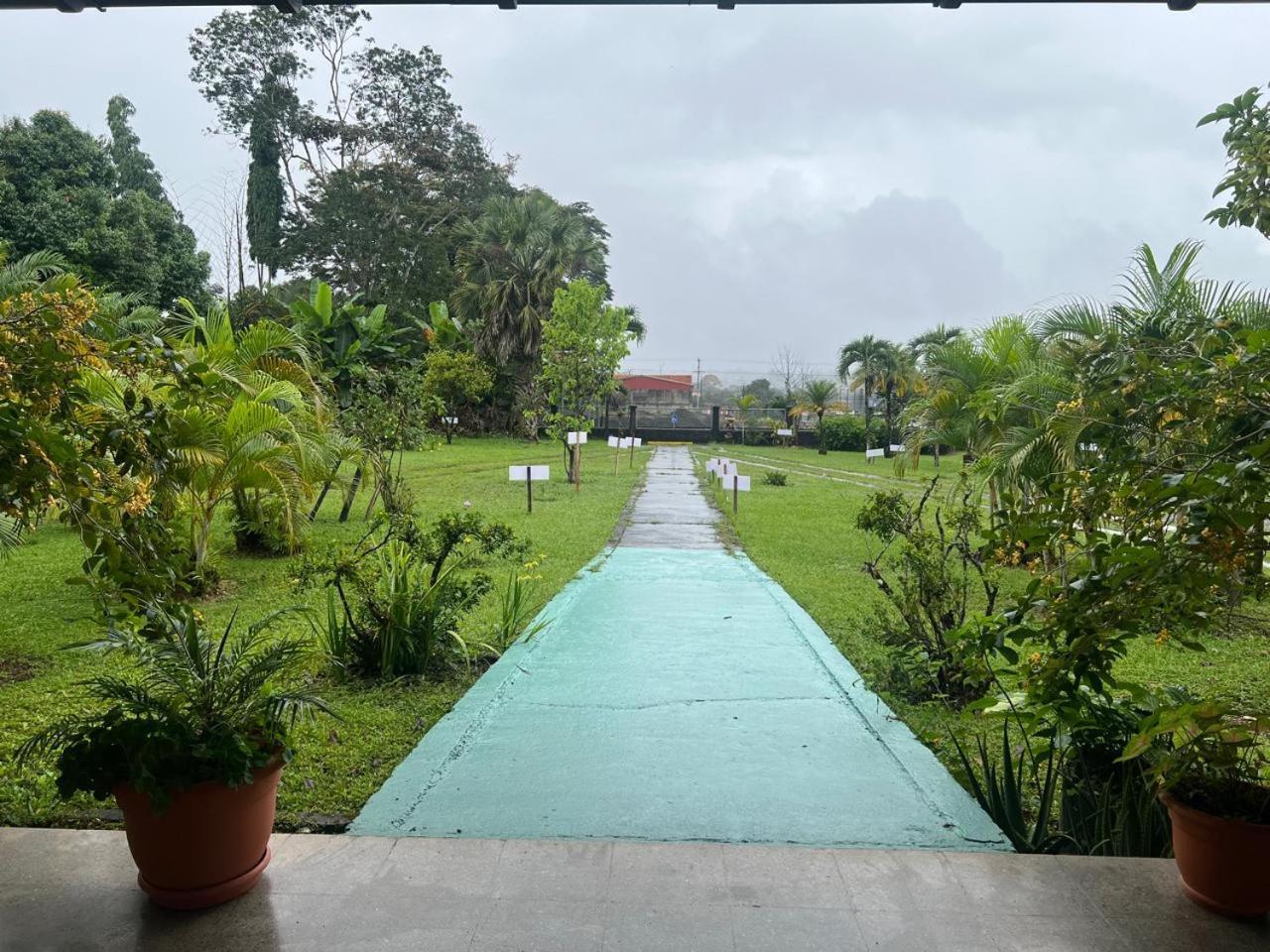 Casa Eva Lodging Costa Rica San Isidro De El General Eksteriør bilde